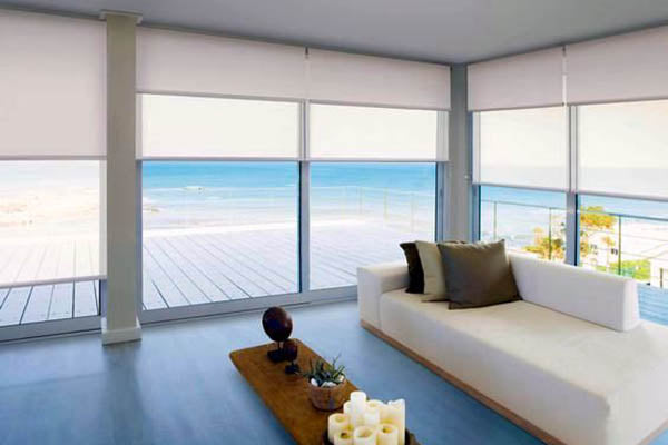 Dual roller blind system